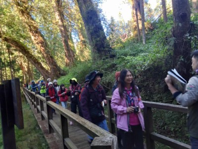 白天由嘉義分署培力的在地導覽解說員帶領學員探索阿里山的人文及生態