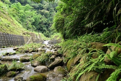 穩定兩岸土石並注重生態的大埔區第56林班水源地邊坡崩塌治理工程，獲112年度優良農業建設工程治山防災類優等