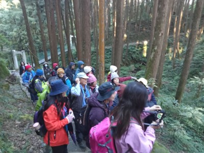 活動白天由在地導覽解說員帶領，讓學員深度認識阿里山精彩豐富的生態與故事