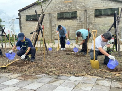 貴賓們移除小花蔓澤蘭後栽植山黃梔