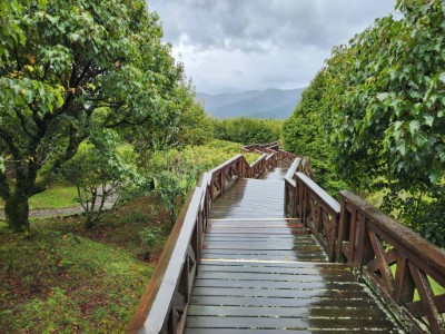 林業保育署嘉義分署提醒民眾，連日降雨過後請盡量避免前往山區，並留心自身安全