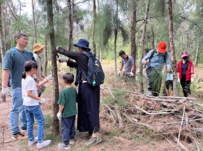 大家合力修整木麻黃，並將枝條堆疊營造生物棲地