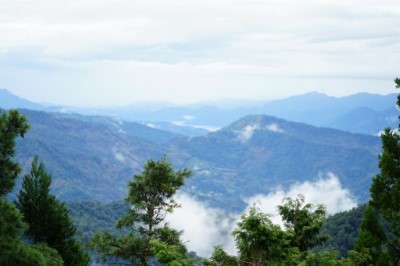 從森林療癒場域遠眺群山