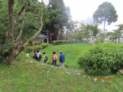 阿里山植物園療癒基地環狀步道