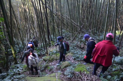 嘉義縣鄒族獵人協會進行獵場踏查，山徑農路亦為野生動物常利用路徑