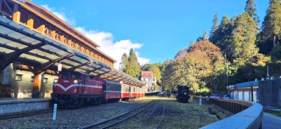 遊客可以搭配森林小火車探訪阿里山森林美景