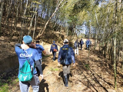 嘉義縣紅南坑步道鄰近竹林稽查違法獵具情形