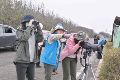 想實地欣賞鰲鼓濕地的鸕鷀，歡迎踴躍參與活動或預約在地導覽生態解說員