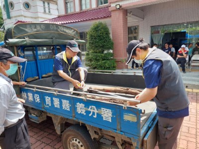 檢視民眾所撿拾漂流木是否屬公告可撿拾