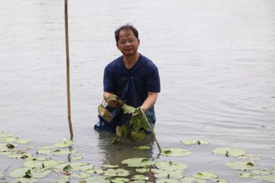 林業保育署嘉義分署李定忠分署長也親自種下一株株印度莕菜苗，期待長成一整片水雉的「浮」地