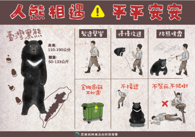 人熊相遇應對措施