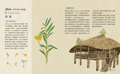 《鄒的植物書》介紹鄒族與自然植物間的傳統故事與利用