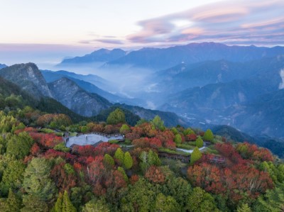 林業保育署嘉義分署將持續深化阿里山永續經營策略，讓更多民眾認識阿里山自然之美（黃源明攝）