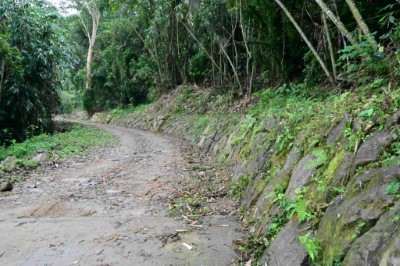 南山林道工程利用乾砌石護岸緩坡化，可作動物通道，且砌石孔隙供植物生長，採近自然工法治理