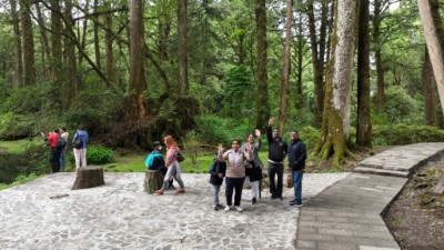 阿里山國家森林遊樂區姊妹潭附近步道整修工程提升園區遊憩品質