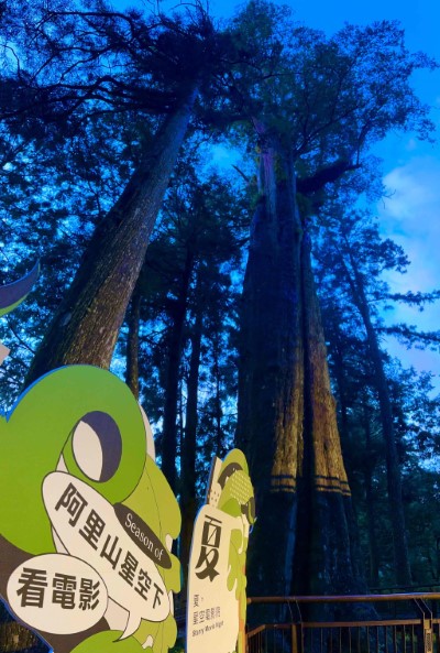 阿里山國家森林遊樂區近年結合自然環境與文創的季節性活動廣受民眾喜愛
