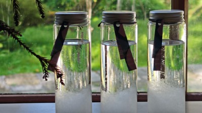 親手製作天氣瓶，觀察化學結晶感受阿里山氣溫變化