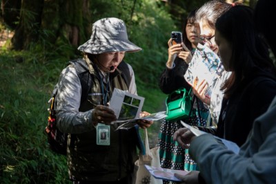 解說員深入淺出地介紹蕨類生長過程及在生態系中扮演的重要角色
