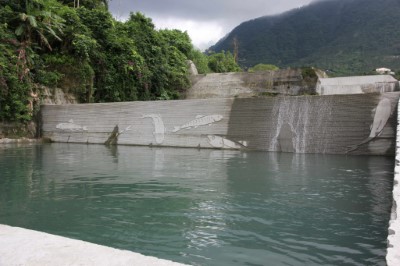 工程設施融入牛稠溪常見臺灣鬚鱲、臺灣石賓、鯝魚圖騰