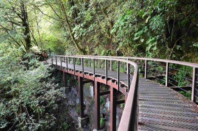 特富野古道設施改善工程將既有13座橋梁全面整修，融入自然景觀且兼顧遊客安全（圖為5號橋-弧形高架橋）