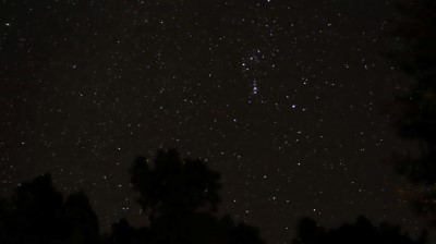 林業保育署嘉義分署與嘉義市天文協會合作，於115年1-3月舉辦「星動阿里山」天文生態營，邀請民眾來體驗冬末春初的阿里山美景