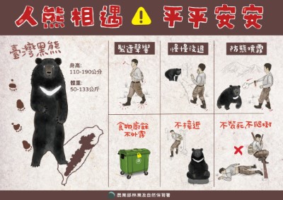 人熊相遇應對措施