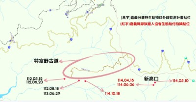 林業保育署嘉義分署及嘉義縣鄒族獵人協會近年於特富野古道周邊拍攝到臺灣黑熊出沒紀錄