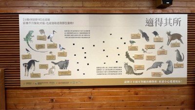 展覽設置互動牆，讓民眾從遊戲中增加對原生種與外來種的認識
