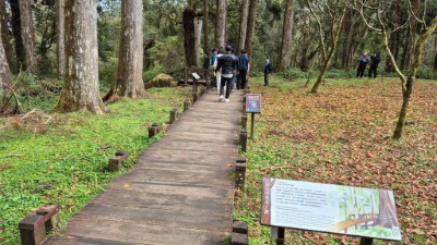 因應巨木群棧道香林神木至神木車站段更新改善封閉，林業保育署嘉義分署請遊客改由慈雲寺下方步道及巨木群棧道(2)進入
