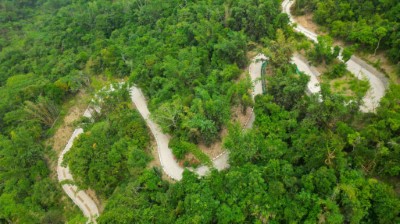 林業保育署嘉義分署近期完成南山林道3-6公里復通，重新串連中斷多年的林道作業廊道