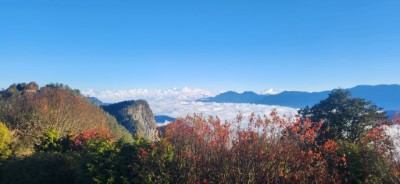 小笠原山可眺望雲海及大塔山一角，歡迎民眾多加利用阿里山與高鐵合作聯票至阿里山走春