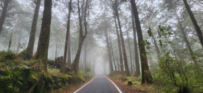 除夜間觀星外，行程亦可感受阿里山國家森林遊樂區的清晨光影與山林清幽之氣息