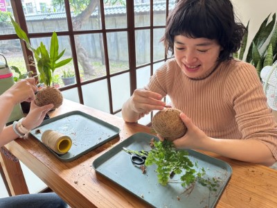 今年度新辦苔球手作贈苗活動，歡迎一起療癒體驗