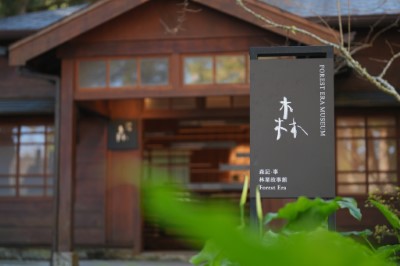 林業故事館讓人看見木材背後的歷史與制度