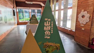 特展介紹阿里山、臺灣、觀霧、南湖、楚南等五種臺灣特有山椒魚品種